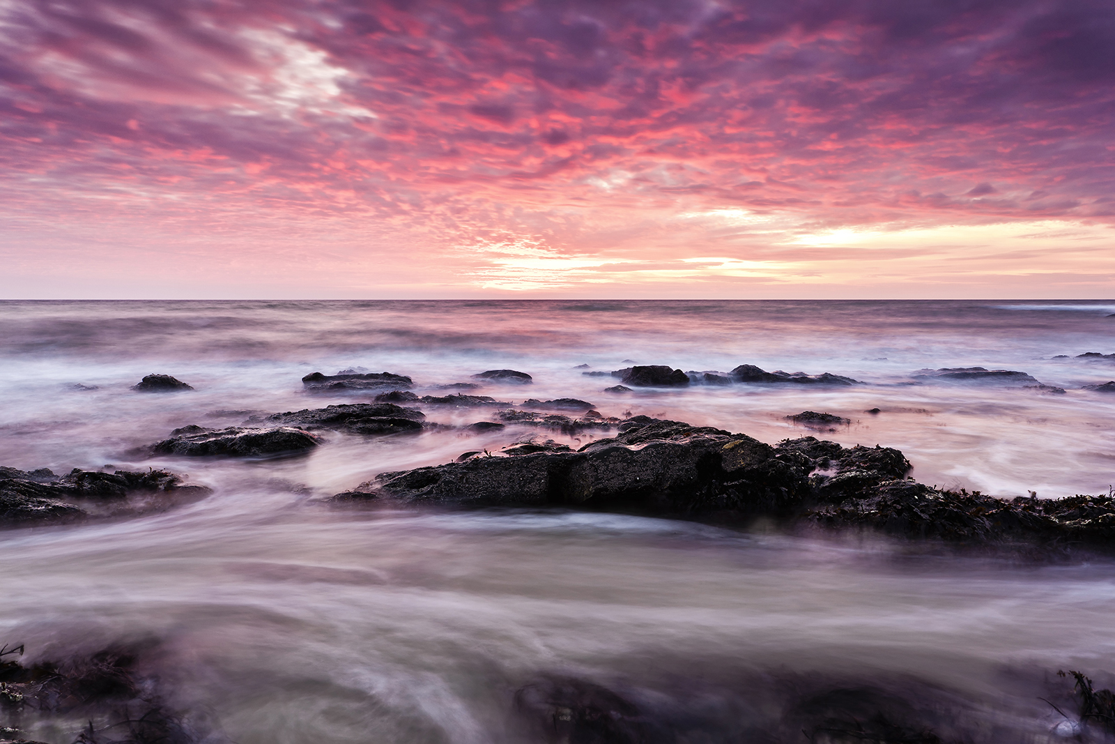 Pink Sky in the Morning